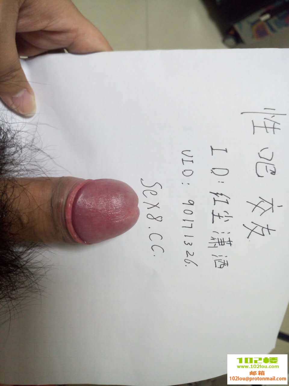 e9787dd98f365c0fb73e2b4743dcfdde.jpg